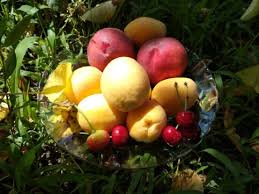 Makanan Sehat untuk Diabetes